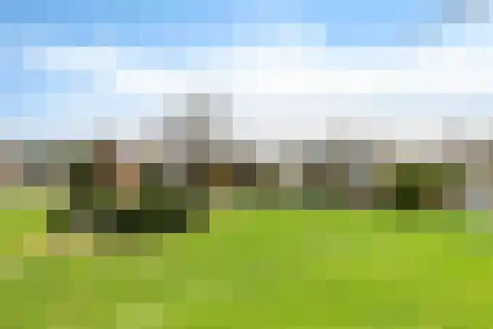 Arembergerstraat 16 Zwartsluis thumbnail 8