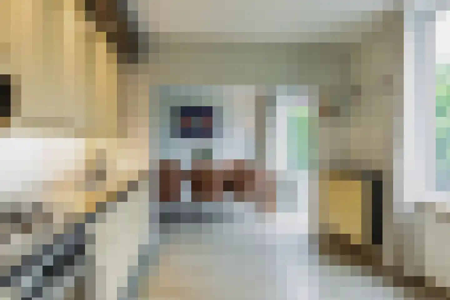 Arembergstraat 15 Waalre thumbnail 11