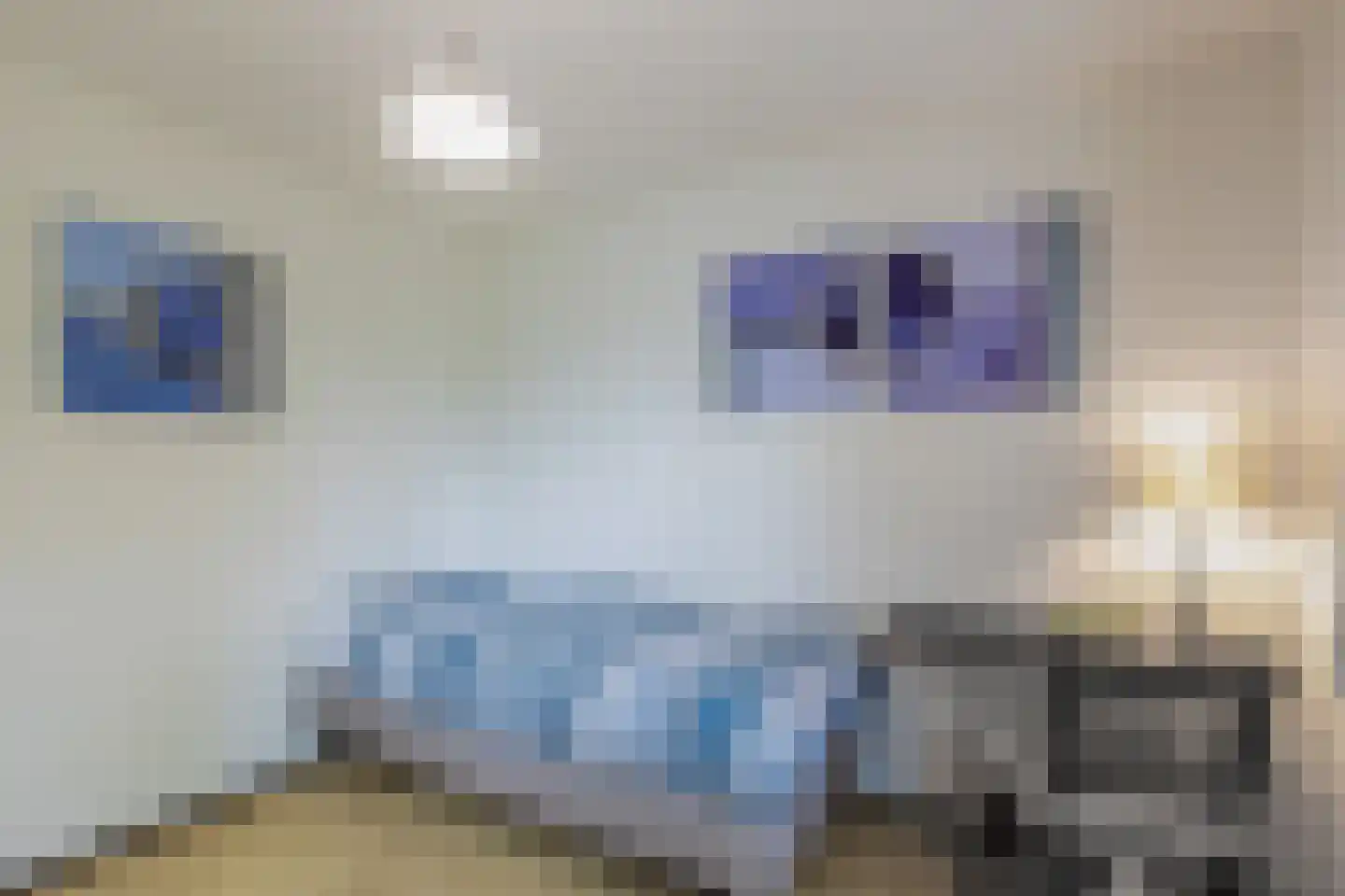 Arembergstraat 15 Waalre thumbnail 22