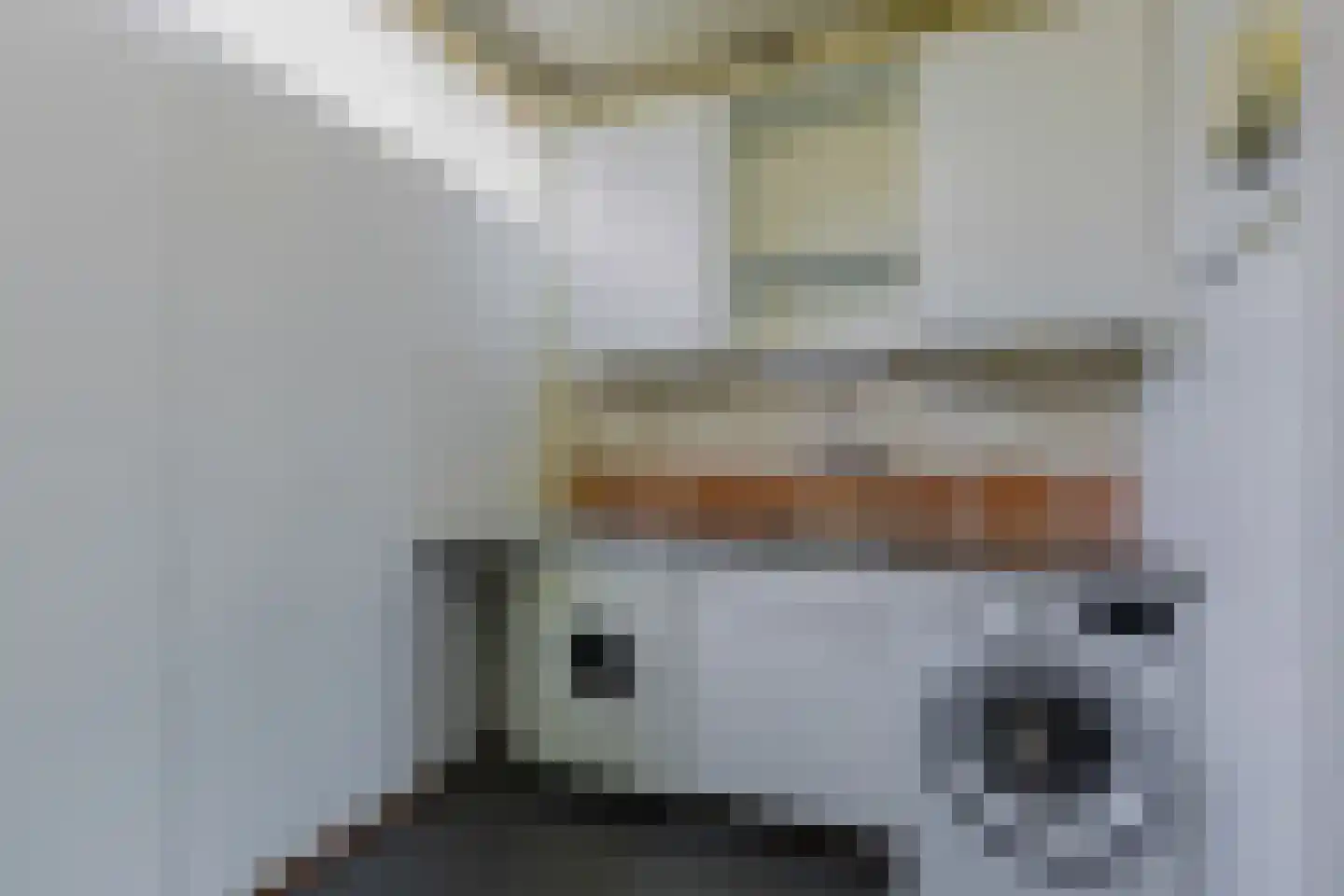 Arembergstraat 15 Waalre thumbnail 32