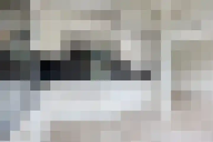 Arembergstraat 25 Waalre thumbnail 13