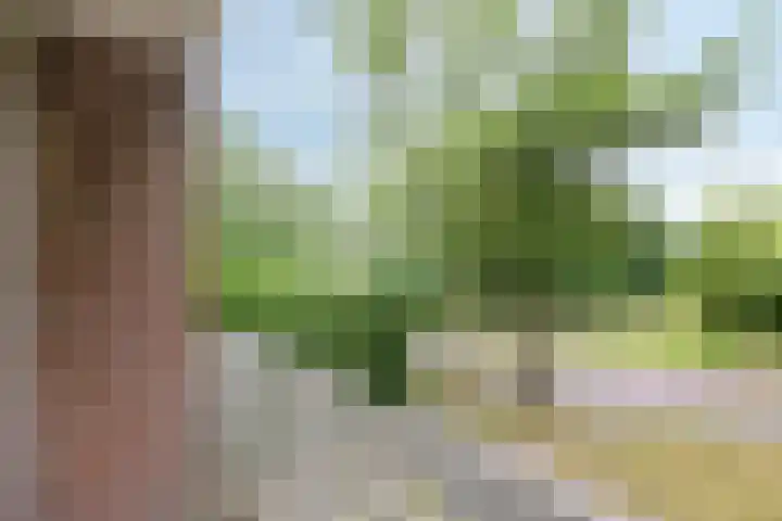 Arembergstraat 25 Waalre thumbnail 27