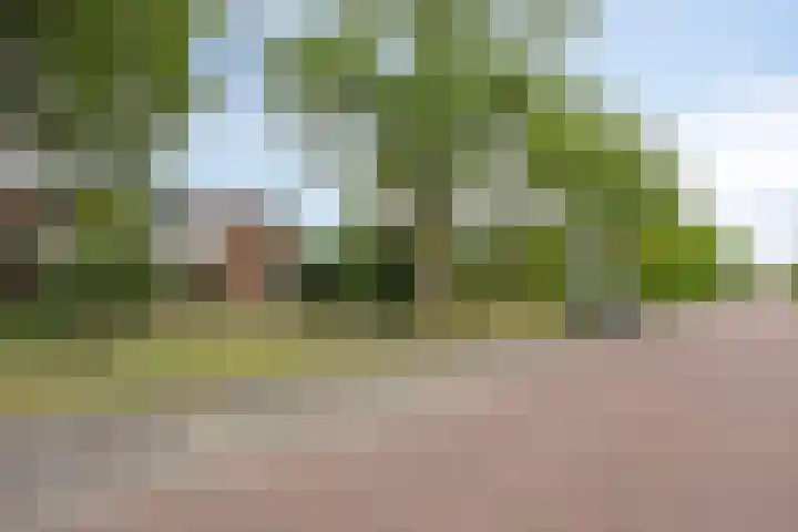 Arembergstraat 25 Waalre thumbnail 34