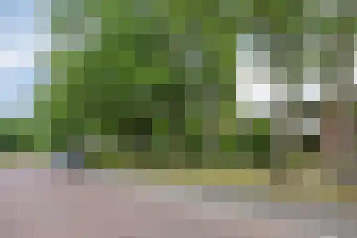 Arembergstraat 25 Waalre thumbnail 35