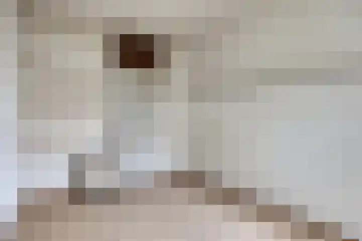 Arembergstraat 25 Waalre thumbnail 8