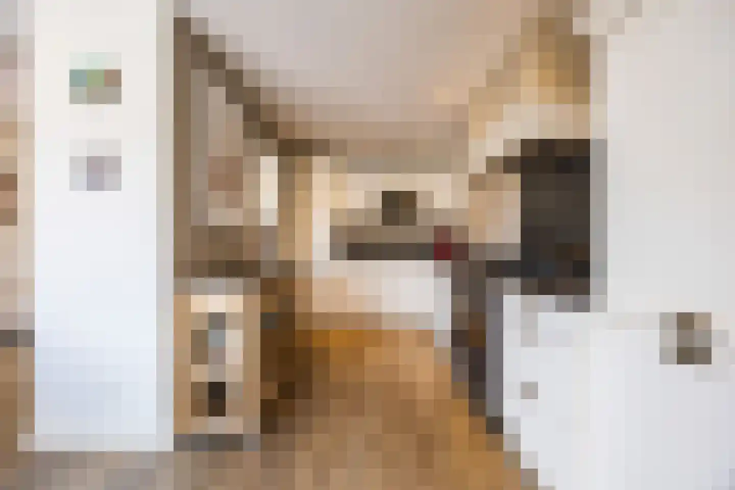 Arembergstraat 35 Zevenbergen thumbnail 21