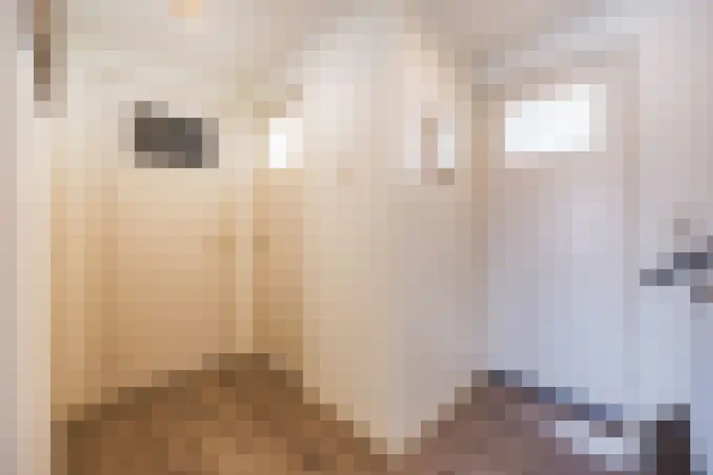 Arembergstraat 35 Zevenbergen thumbnail 24