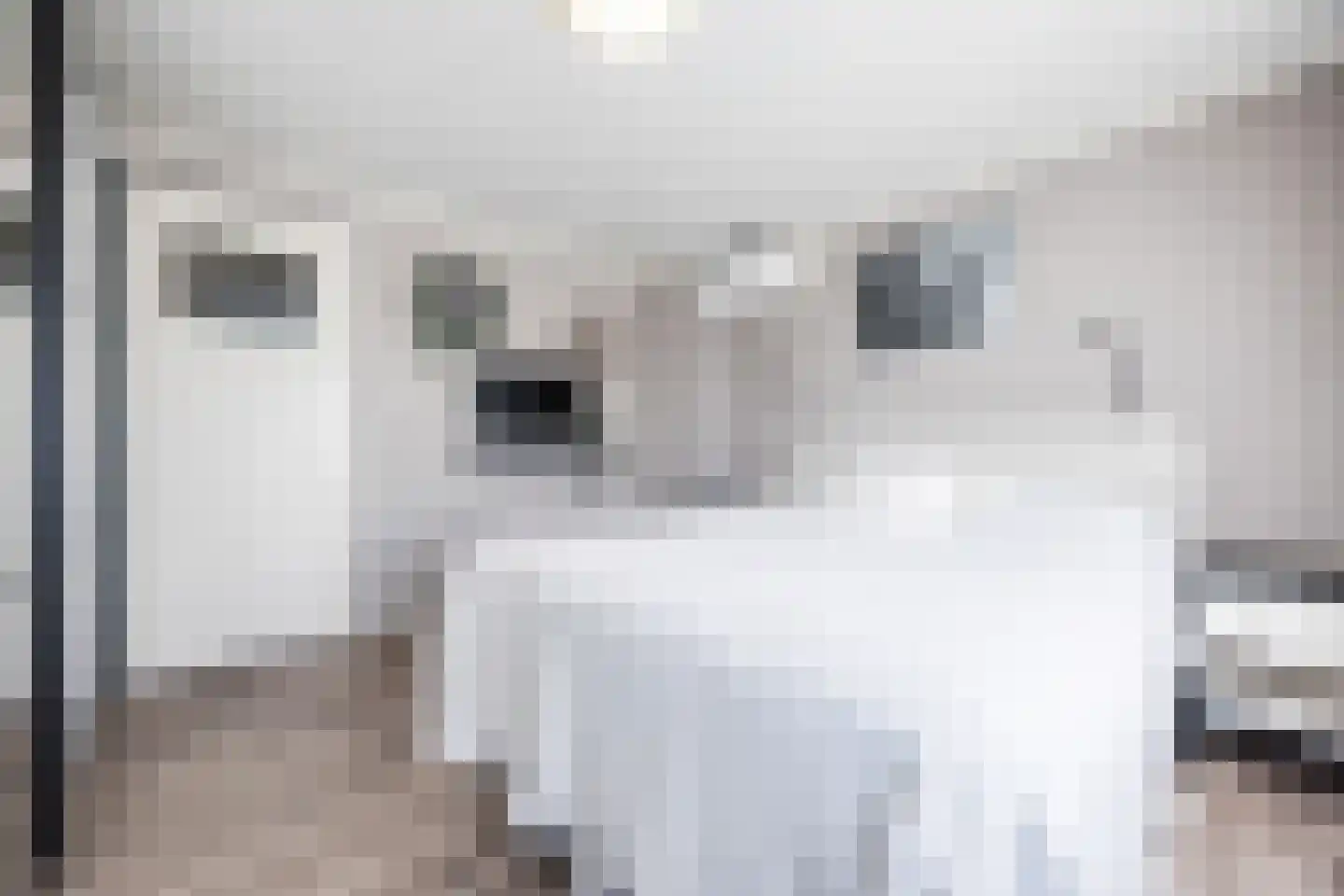 Arembergstraat 35 Zevenbergen thumbnail 26