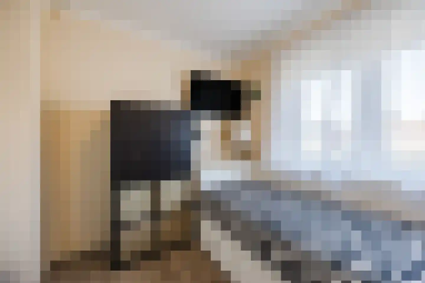 Arembergstraat 35 Zevenbergen thumbnail 34