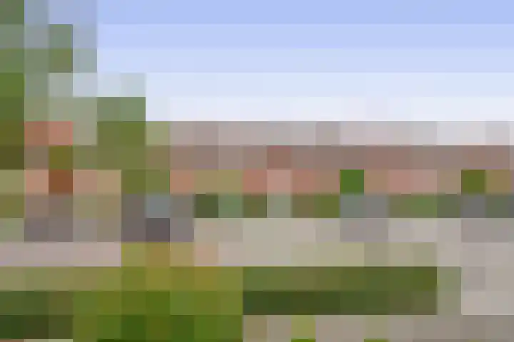 Arembergstraat 47 Zevenbergen thumbnail 38