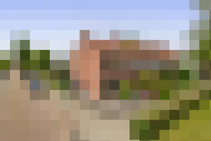 Arembergstraat 47 Zevenbergen thumbnail 5