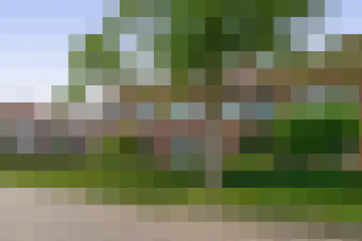 Arembergstraat 47 Zevenbergen thumbnail 6