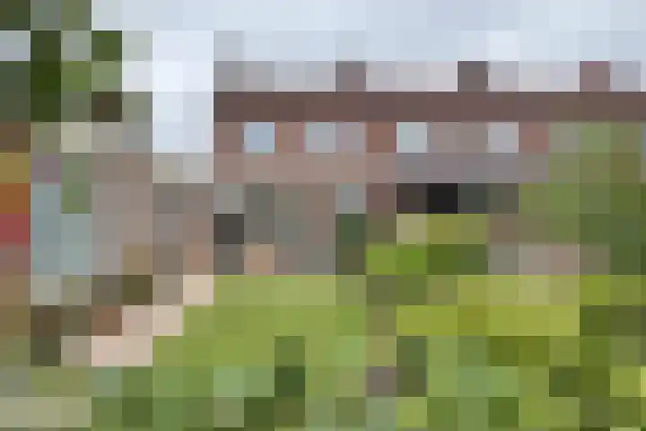 Arembergstraat 53 Zevenbergen thumbnail 56