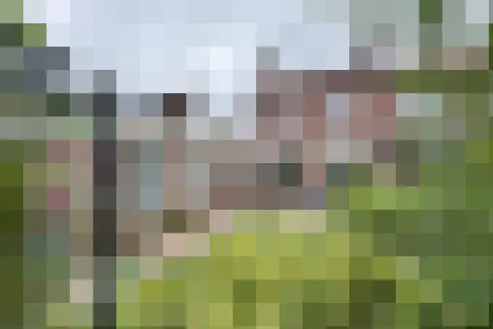 Arembergstraat 53 Zevenbergen thumbnail 57