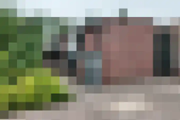 Arembergstraat 53 Zevenbergen thumbnail 61