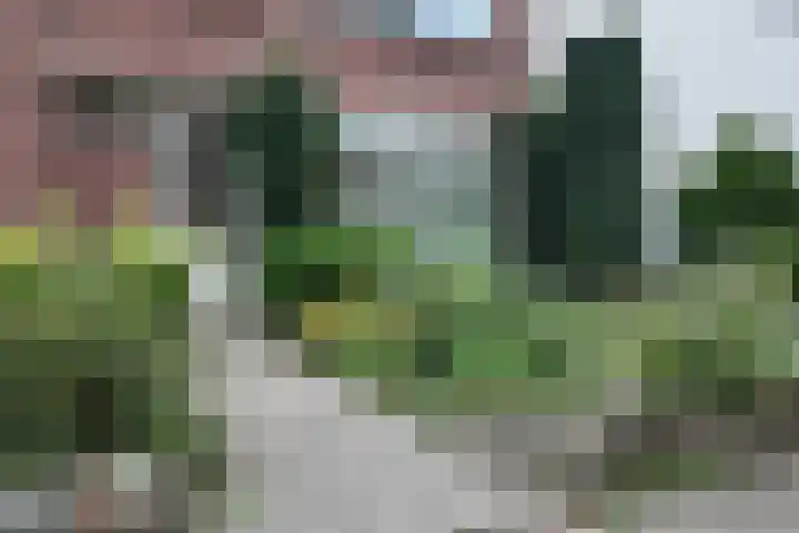 Arembergstraat 53 Zevenbergen thumbnail 62