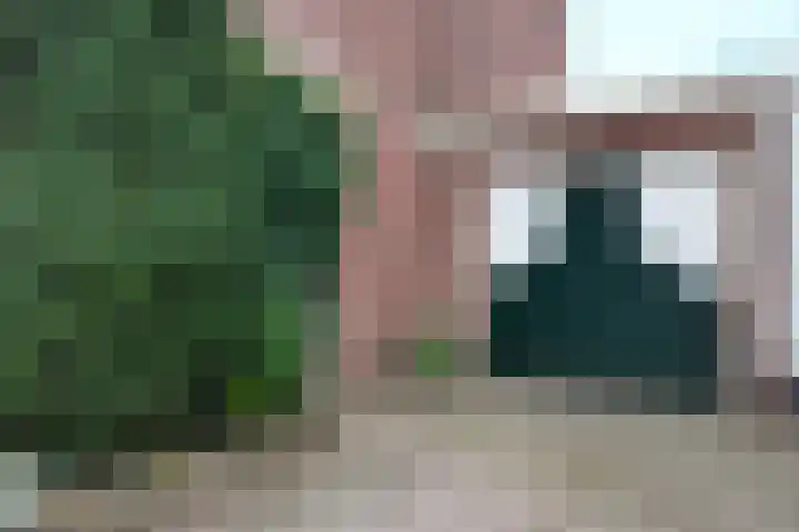 Arembergstraat 53 Zevenbergen thumbnail 67