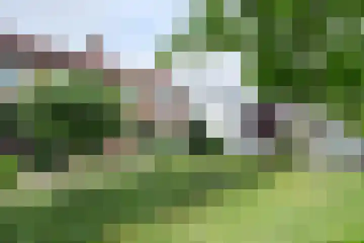 Arembergstraat 53 Zevenbergen thumbnail 70