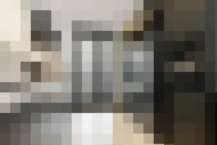Arena 19 Noordwijkerhout thumbnail 10