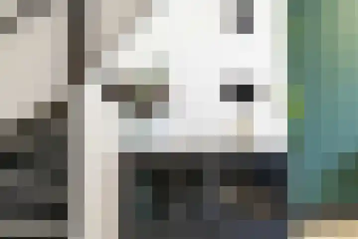 Arena 19 Noordwijkerhout thumbnail 18