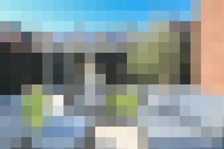 Arena 19 Noordwijkerhout thumbnail 19