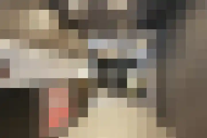 Arena 19 Noordwijkerhout thumbnail 26