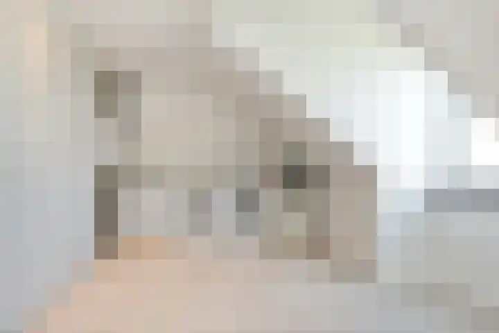 Arena 19 Noordwijkerhout thumbnail 34