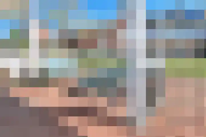 Arena 19 Noordwijkerhout thumbnail 4