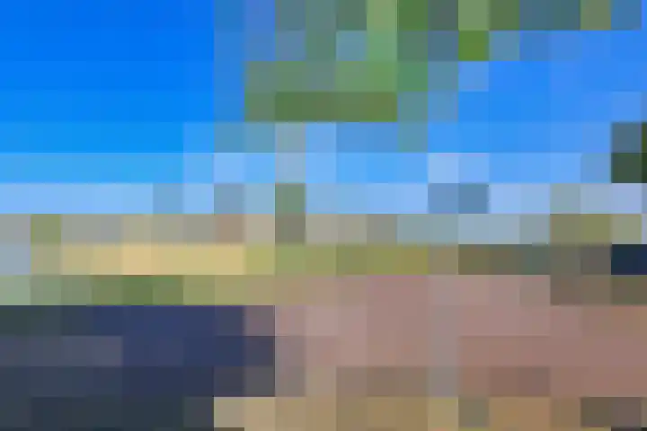 Arena 19 Noordwijkerhout thumbnail 42