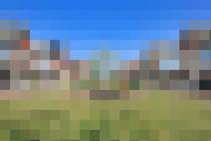 Arena 19 Noordwijkerhout thumbnail 43