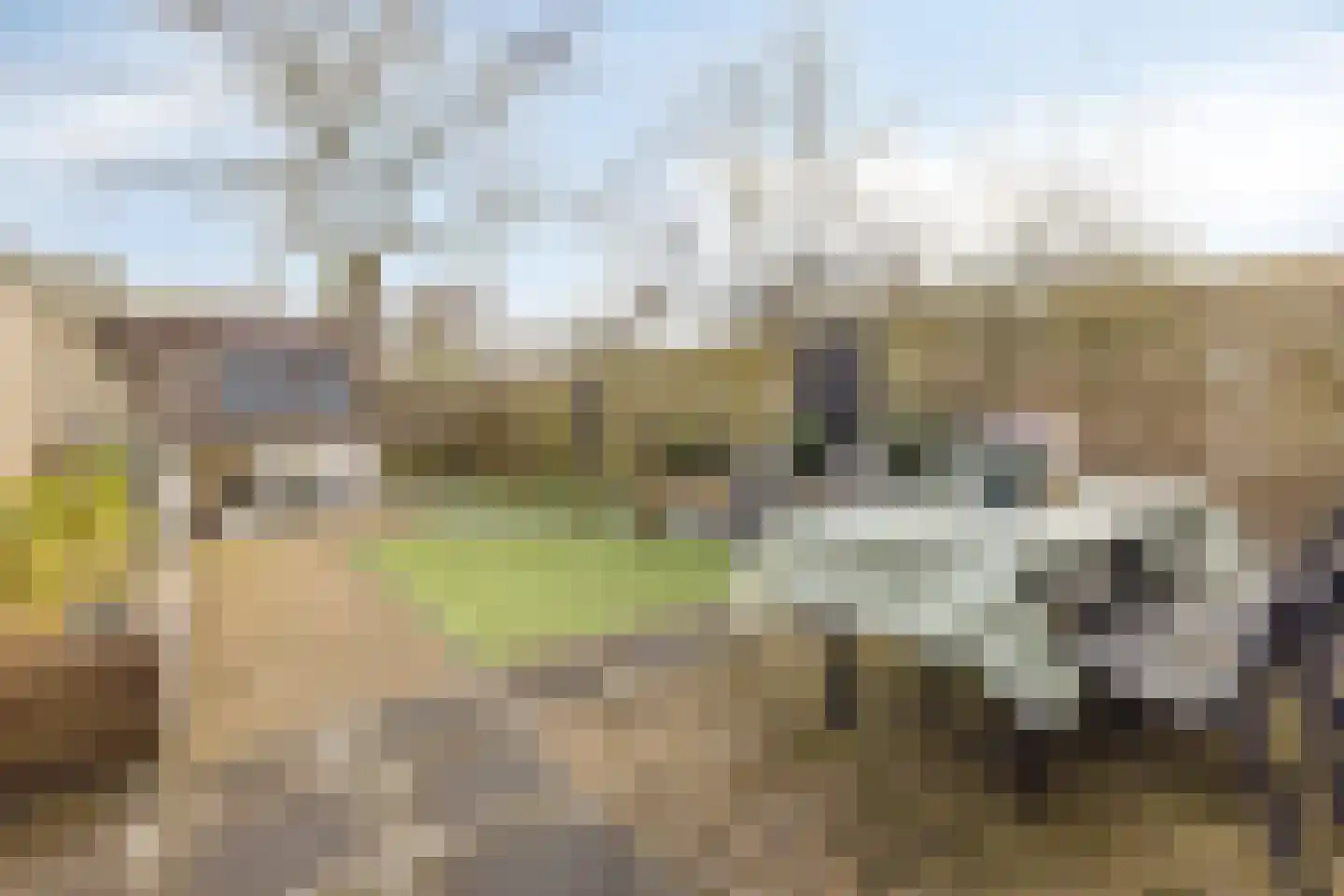 Arena 30 Krimpen aan den IJssel thumbnail 33