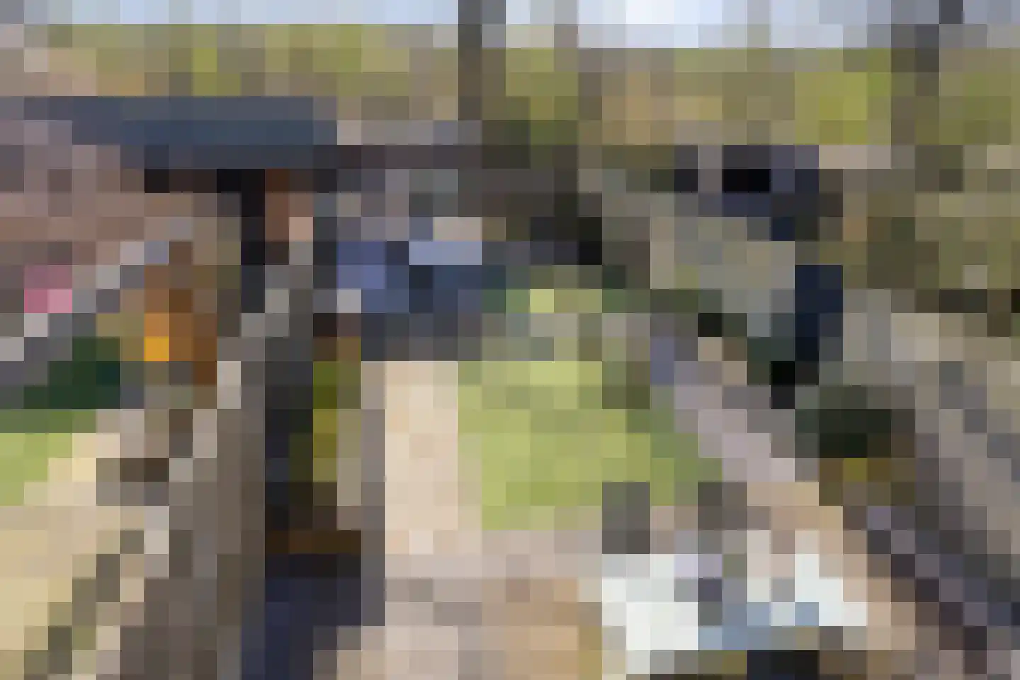 Arena 30 Krimpen aan den IJssel thumbnail 34