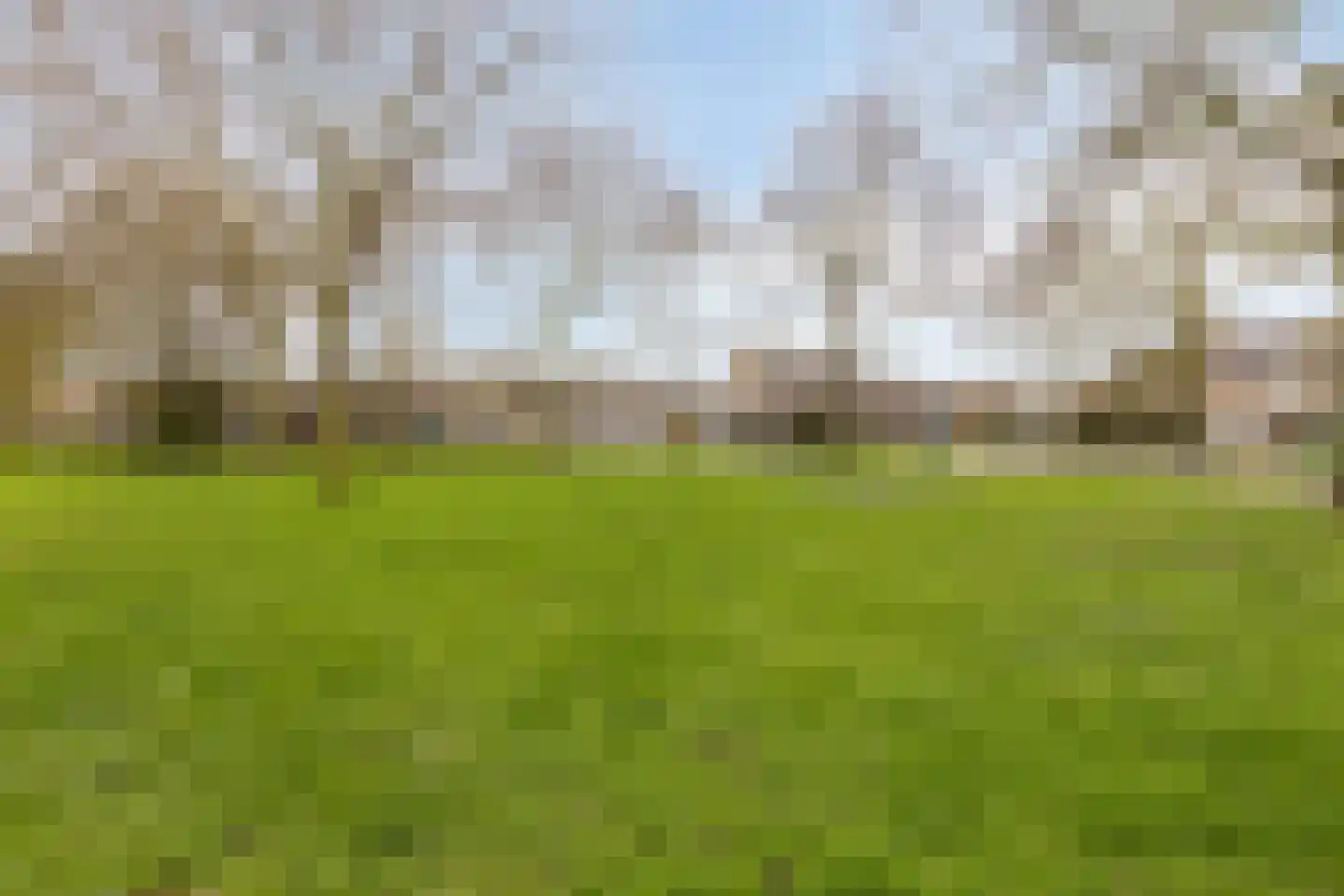 Arena 30 Krimpen aan den IJssel thumbnail 38