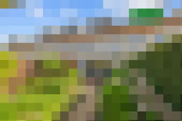 Arenastraat 24 in Den Haag