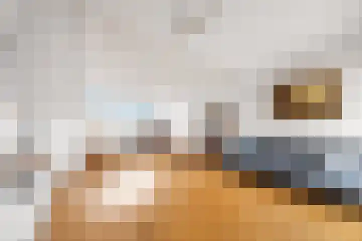 Arenastraat 24 Den Haag thumbnail 4