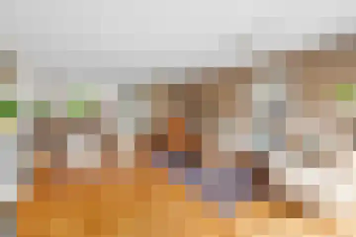 Arenastraat 24 Den Haag thumbnail 5