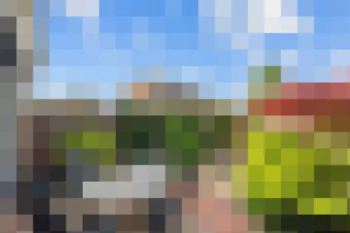 Arenastraat 24 Den Haag thumbnail 9