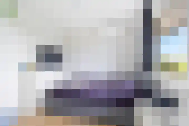 Arenastraat 91 Den Haag thumbnail 31