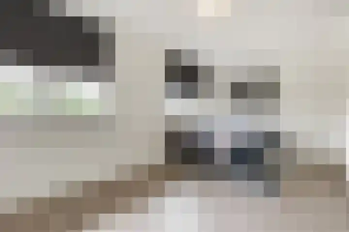 Arenberglaan 13 Breda thumbnail 22