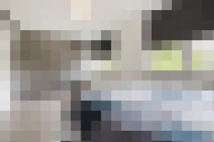 Arenberglaan 13 Breda thumbnail 24