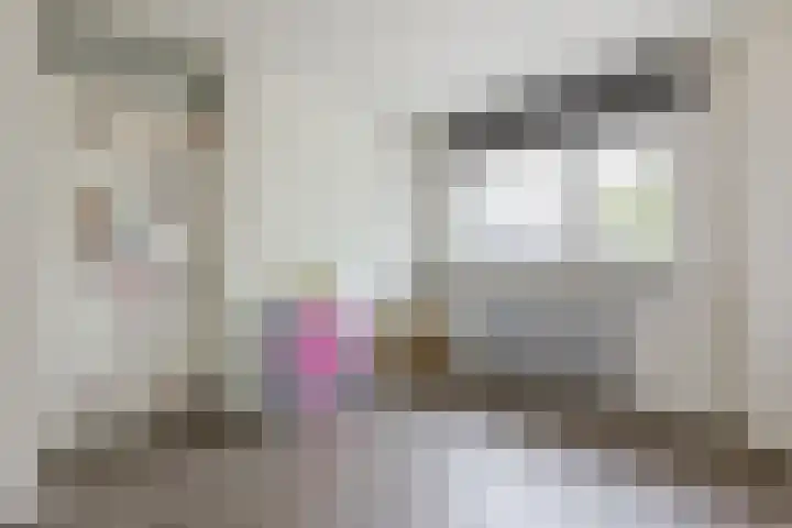 Arenberglaan 13 Breda thumbnail 25
