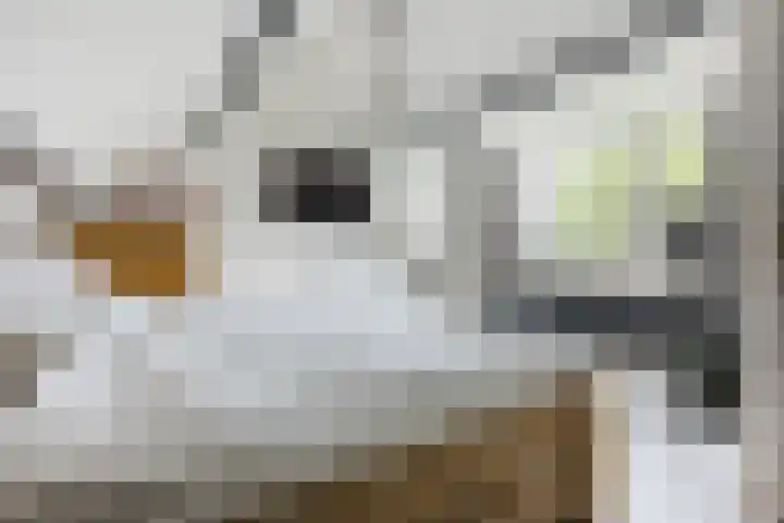 Arenberglaan 13 Breda thumbnail 27