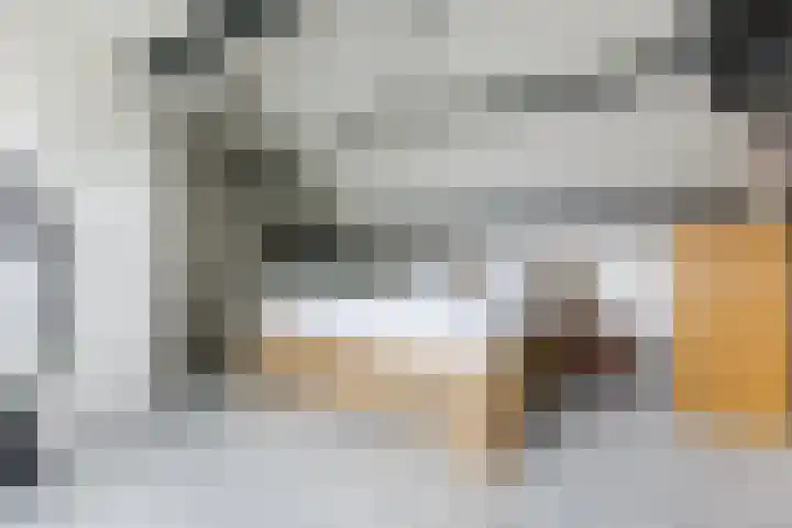 Arenberglaan 13 Breda thumbnail 28