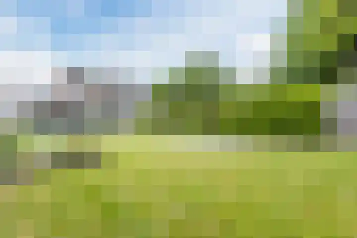 Arenberglaan 13 Breda thumbnail 32