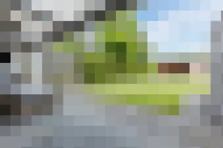 Arenberglaan 13 Breda thumbnail 35