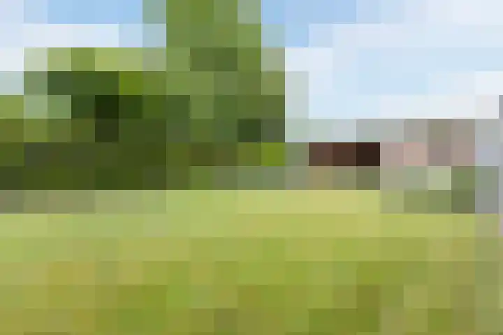 Arenberglaan 13 Breda thumbnail 36