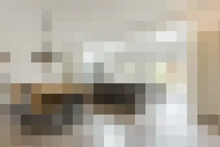 Arenberglaan 13 Breda thumbnail 4