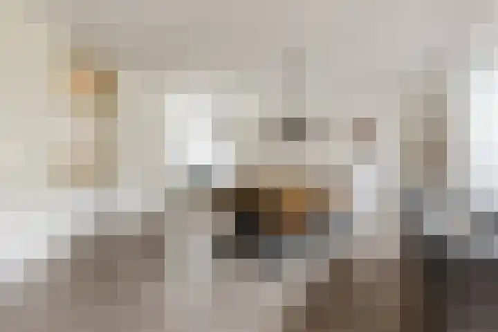 Arenberglaan 13 Breda thumbnail 8