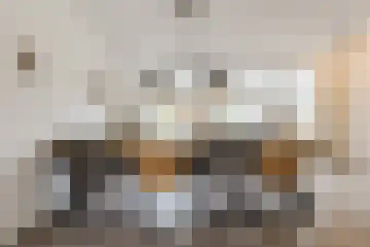 Arenberglaan 13 Breda thumbnail 9