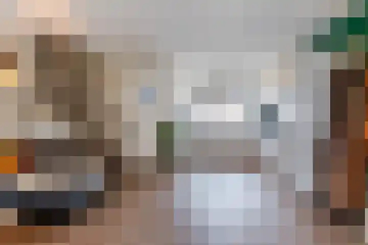Arenberglaan 17 Breda thumbnail 10